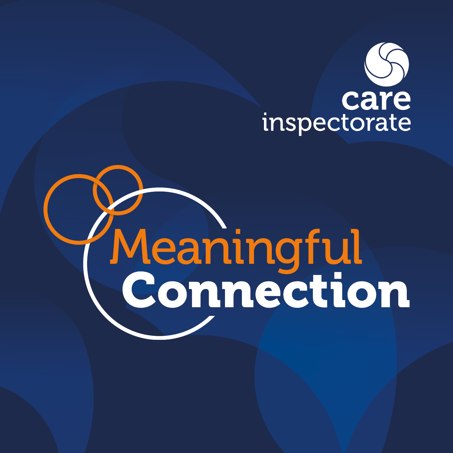 Meaningful connection literature review
