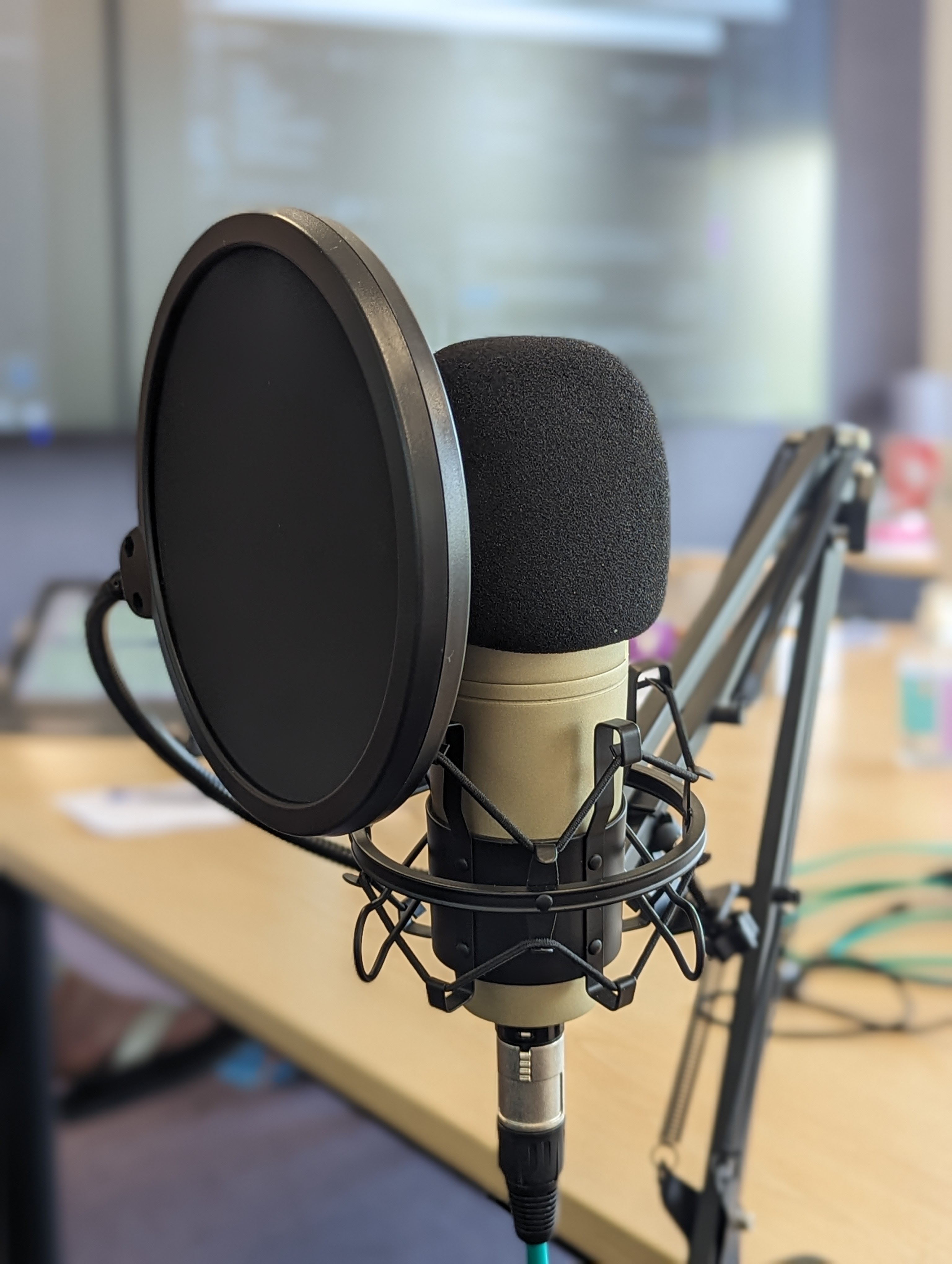 Launch of our very first podcasts