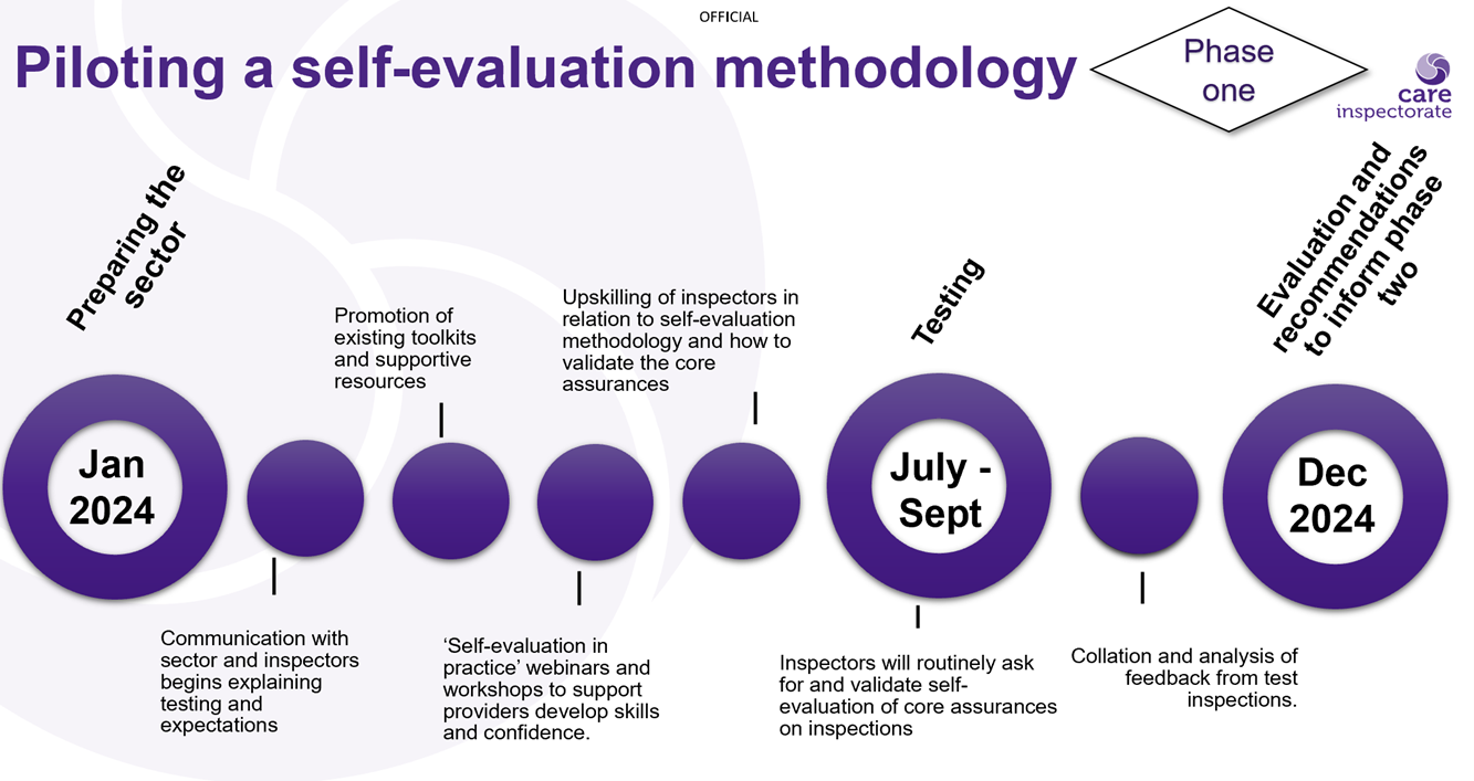 Piloting a self evaluation methodology timeline